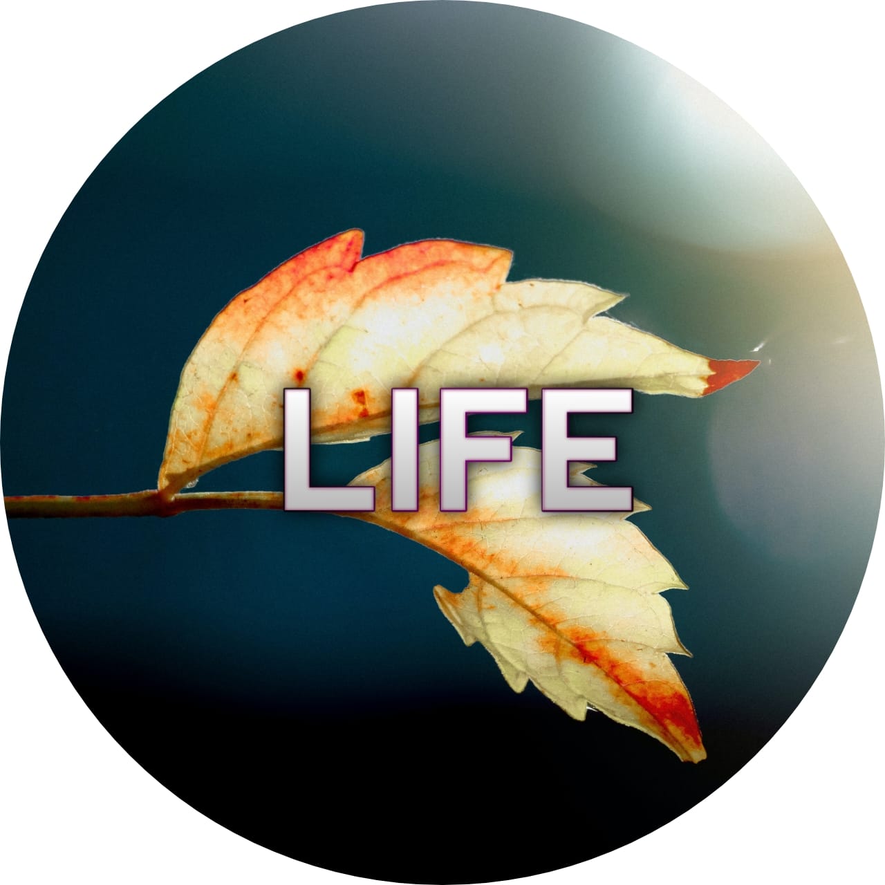 Life